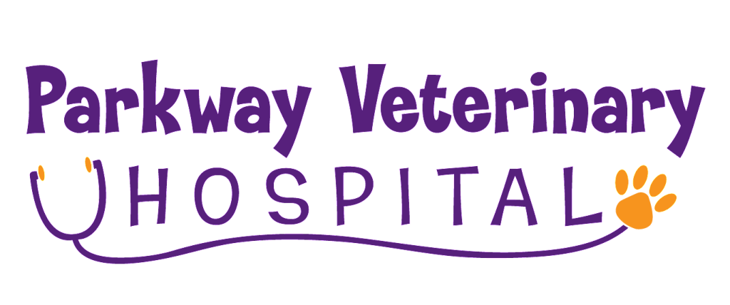 Veterinary Logo by Creations 4 You